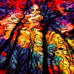 Tree of Colors